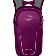 Osprey Packs Daylite Backpack, Eggplant Purple