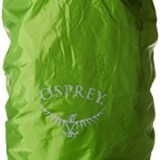 Osprey Packs Kestrel 48 Backpack, Ash Grey, Medium/Large